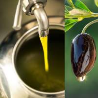 Prosilis Alexandros - extra virgin olive oil